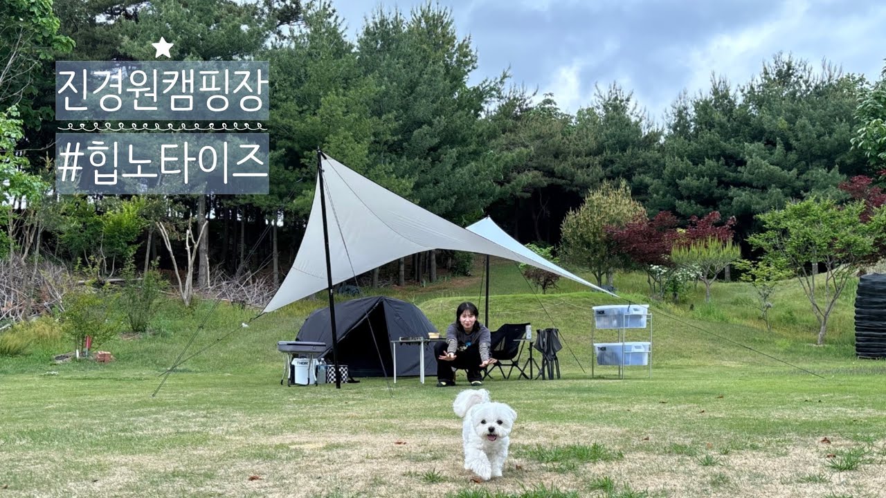 Episode.18 당진 진경원캠핑장에서 힙노타이즈 윙타프 첫 사용후기 그리고 고동텐트로 역대급 미니멀캠핑🐶👩🏻‍❤️‍👨🏻🏕️
