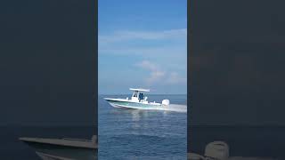 Sea Hunt Sunday - Our Take On The Bx25 Fs