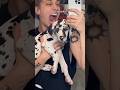 Great Dane Puppy Grows In My Arms 🐶 w OnlyJayus - #Shorts