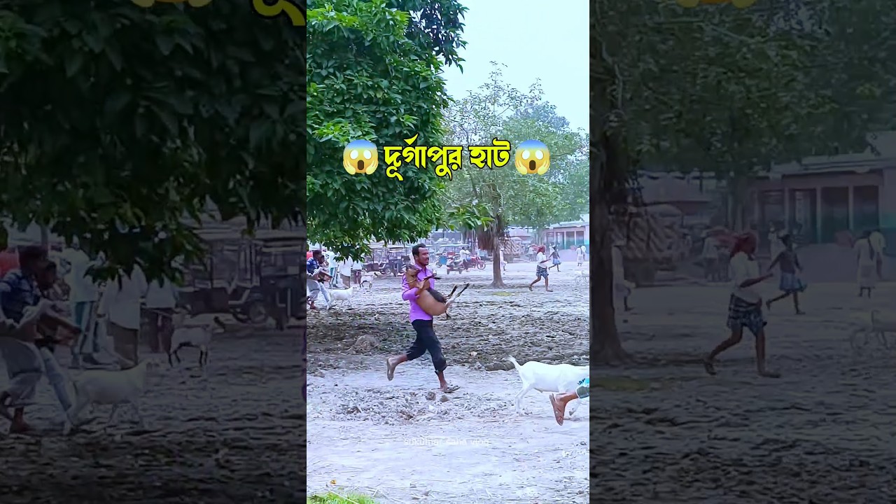 😱😱 দুর্গাপুর হাটের কি অবস্থা 😱😱#insta #sukumarsahavlog #hat #animals #minivlog #caw