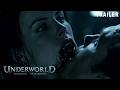 Underworld 6: Shadowborn (2026) Concept Trailer | Kate Beckinsale Returns for Epic War