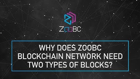 Why does ZooBC blockchain network need two types of blocks?