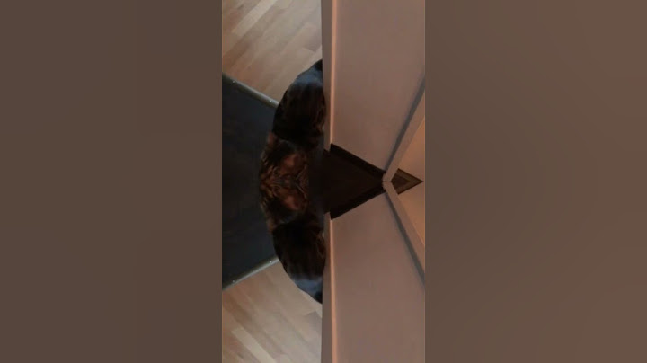 Si cette vidéo atteint les mille Like il aura une surprise ￼