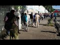 Venezuela Votes