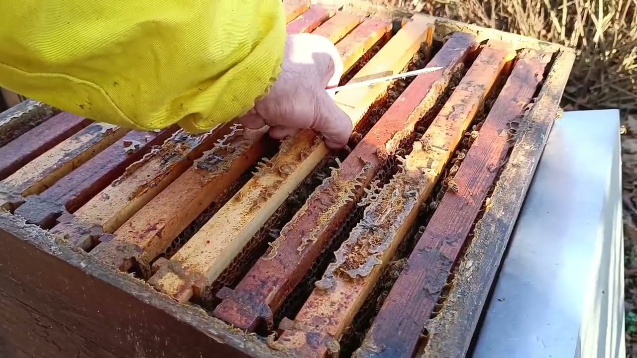 Stimulacija pogačama 2024