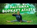 Растяжка воркаут атлета │ Шпагат и складка