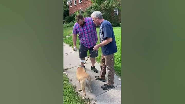 This man ran into a burning house to save a stranger's dog