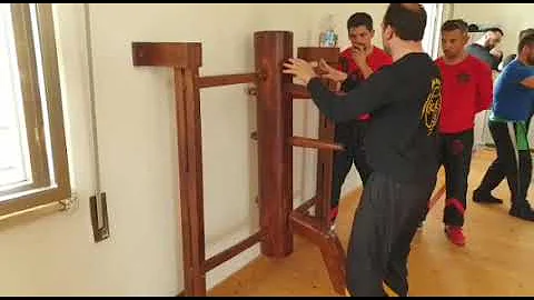 Sifu Yuri performing the Fung Siu Ching Dummy