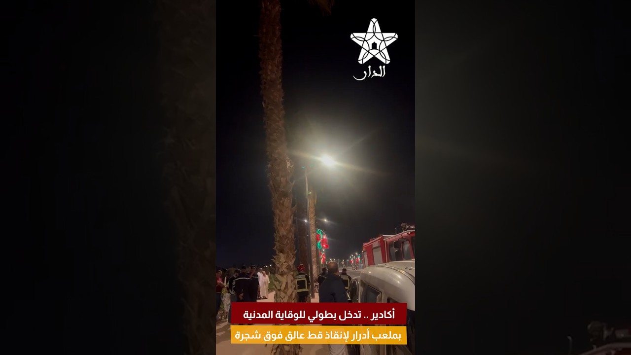 أكادير .. تدخل بطولي للوقاية المدنية بملعب أدرار لإنقاذ قط عالق فوق شجرة