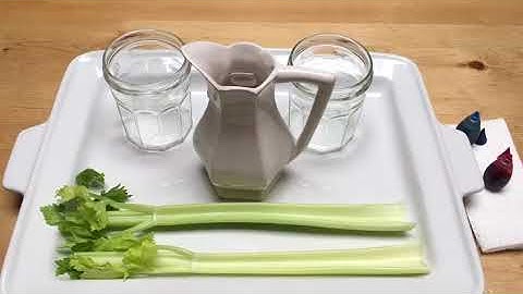 Celery experiment