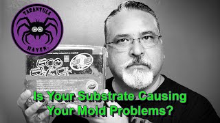 Is Your Substrate Causing Your Mold Problems?