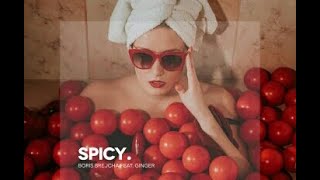 Boris Brejcha - Spicy feat. Ginger (Original Mix)