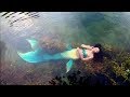 Sirenas Reales Captadas Al Rededor del Mundo - YouTube