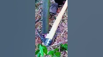 sharp tool for cutting tree trunks #shorts