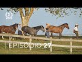 AS DOMADORAS - Conexão Com o Cavalo | EPISÓDIO 27