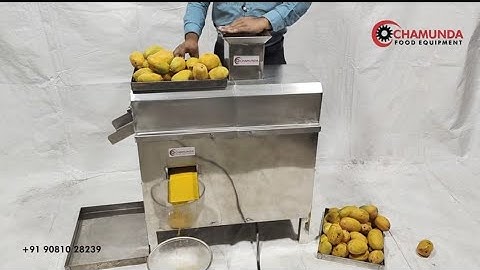 MANGO JUICER MACHINE / MANGO PULP MACHINE / MANGO PULP MAKING MACHINE