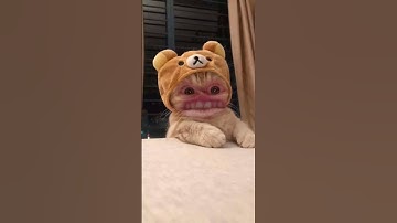 It