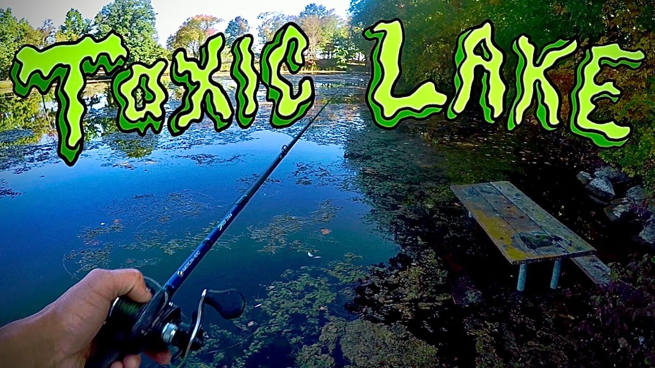 BASS FISHING IN A TOXIC LAKE? Bass Manager The Best Bass Fishing