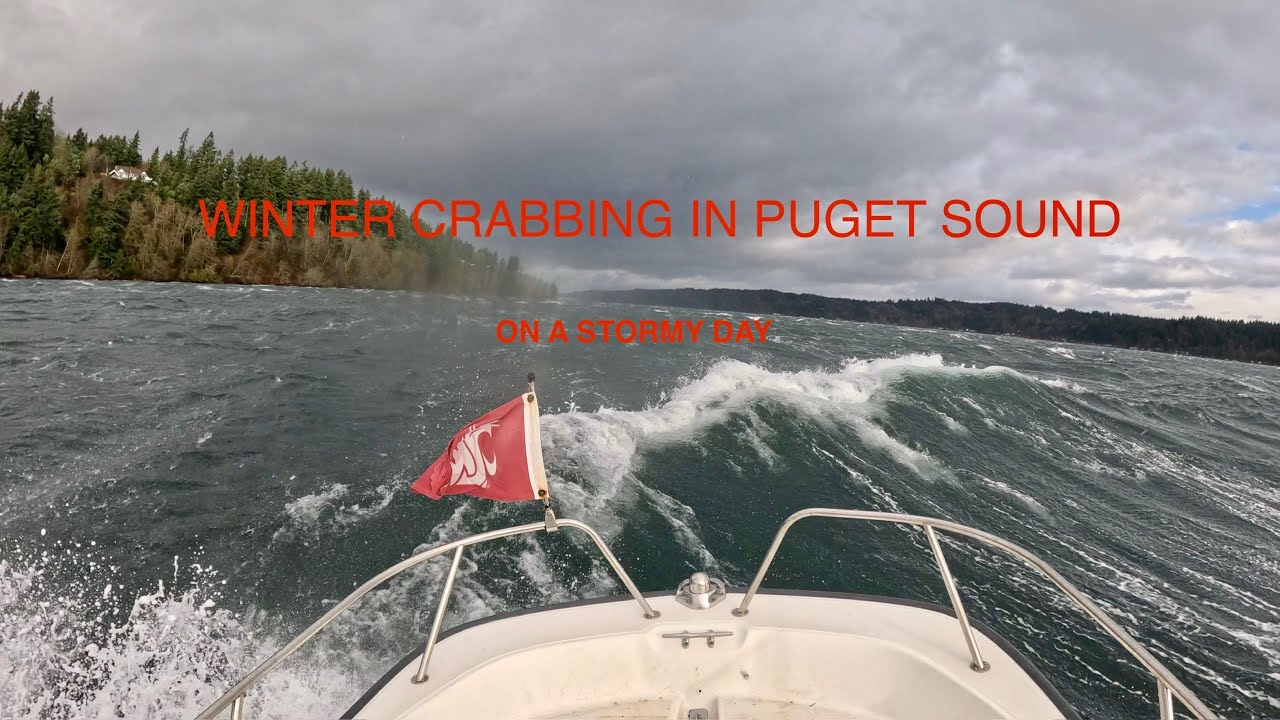 15’ Boston Whaler Stormy Day Crabbing session in Puget Sound