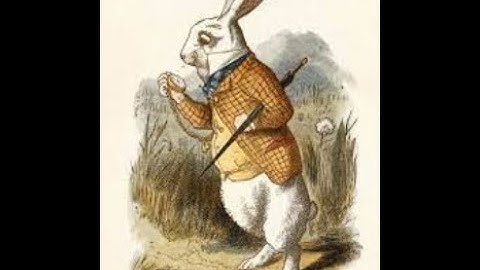 [Wonderland] : Walkthrough CTF - TryHackMe