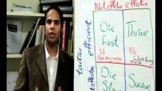 What is the difference between strategy and tactics (English).flv