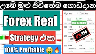XM Forex New Profitable Wining Strategy No Lost 100% Profitable 2022 Sinhala