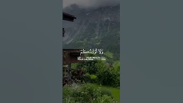 سورة المنافقون يَا أَيُّهَا الَّذِينَ آمَنُوا لَا تُلْهِكُمْ أَمْوَالُكُمْ وَلَا أَوْلَادُكُمْ عَنْ