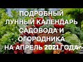 ПОСЕВНОЙ ЛУННЫЙ КАЛЕНДАРЬ САДОВОДА И ОГОРОДНИКА НА АПРЕЛЬ 2021 года