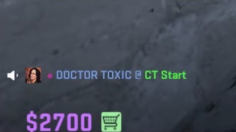 The Most Normal CS2 Voice Chat