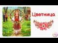 Цветница Детска Песен с Текст 
