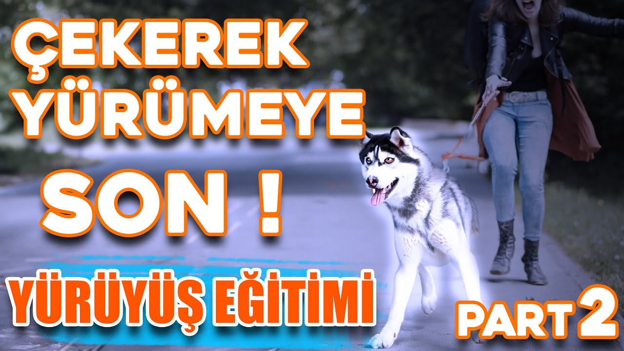 Çekerek Yürüme Problemi Çözümü Part-2