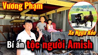 Vương Phạm Mua Chiếc Xe Ngựa Kéo Được Làm Thủ Công Của Tộc Người Amish Ở TEXAS, Cuộc Sống Mỹ