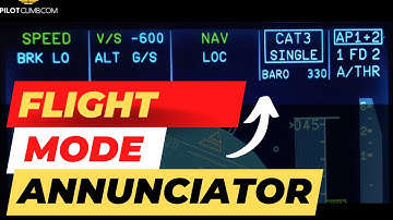 Airline Pilots Monitor this constantly during Flight. FMA - Flight Mode Annunciator