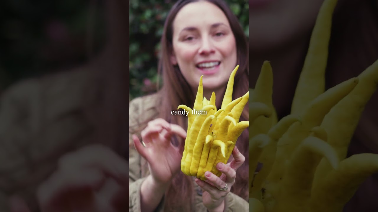 Let's talk about Buddha's Hand!