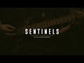 Sentinels - Comfort In Familiar Pain (Guitar Playthrough)