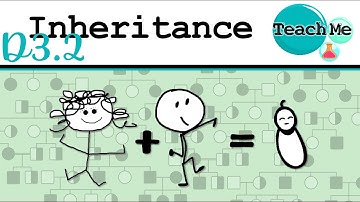 (D3.2) - Inheritance - IB Biology (SL/HL)