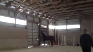 Ruby free jump