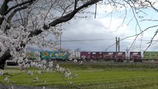 JR貨物　東海道本線　5074レ　EF210-126号機　2014.03.30