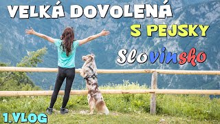 VELKÁ PSÍ DOVOLENÁ ve Slovinsku! | Vlog 1. část