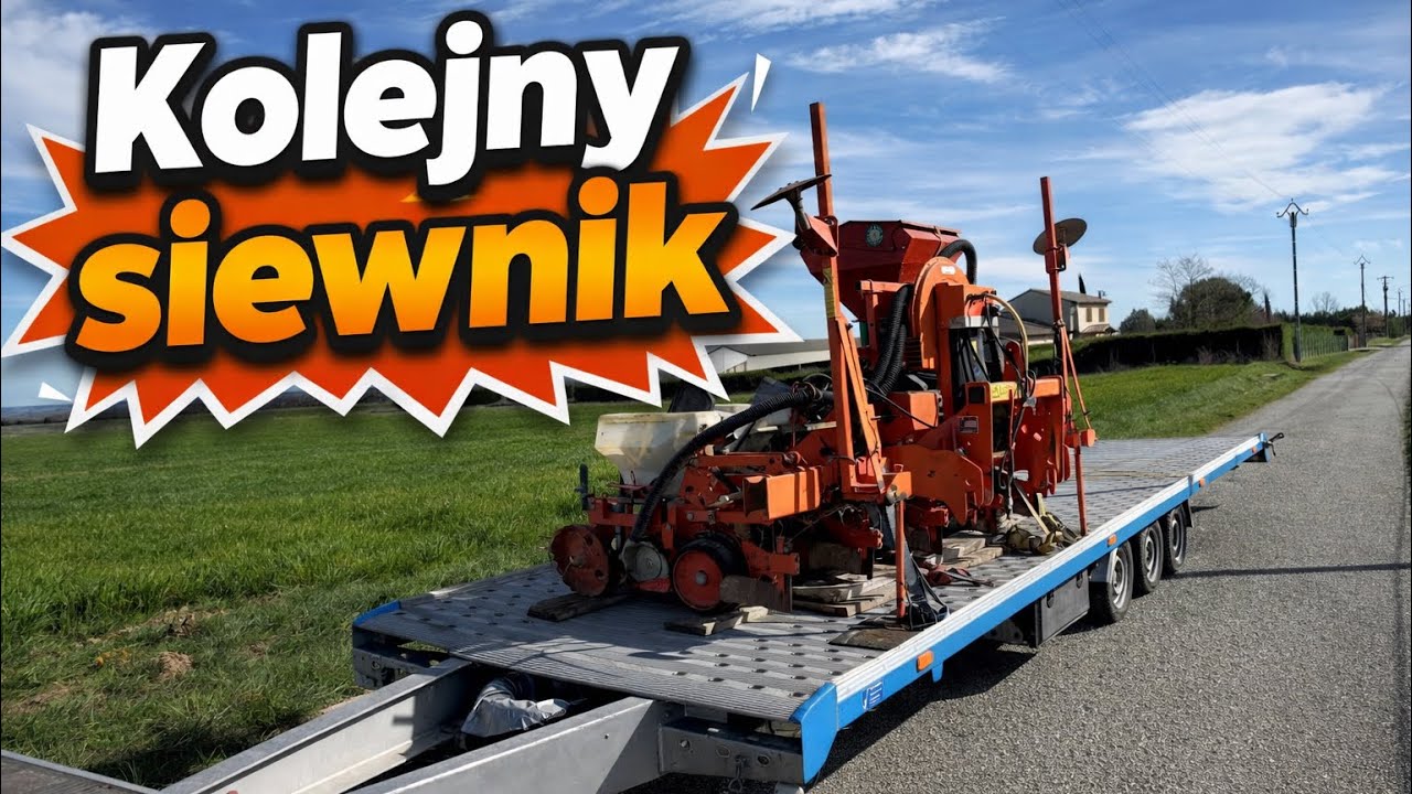 Oglądam rzepak u jakiegoś Francuza