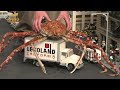GIANT JAPANESE SPIDER CRAB ─ Don&#39;t Let The Real Kaiju Hug You!