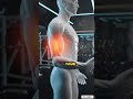 This Hidden Forearm Muscle Changes Your Entire Arm