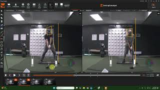 Today's Driver Analysis - Pro vs. Am