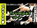 トランペットパート1st 2nd 3rd ペガサスの夢 全日本吹奏楽コンクール2023年 課題曲 トランペットパート1st 2nd 3rd ペガサスの夢 全日本吹奏楽コンクール2023年 課題曲