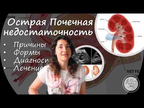 Видео: Разница между острой и хронической почечной недостаточностью