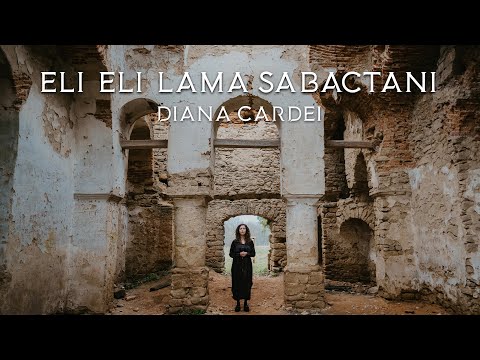 Diana Cardei -
