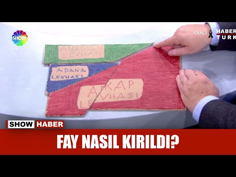 Celal Şengör 2 büyük depremin nasıl gerçekleştiğini anlattı