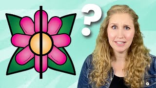 Lines of Symmetry | What is Symmetry? | Math Videos for Kids