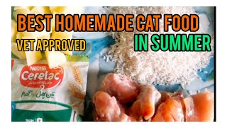 Best homemade cat food for summer | How to make cat fluffy & healthy | kanwal syed #cat videos #cat