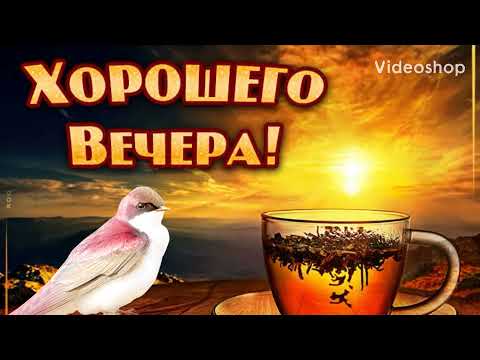 Приятного вечера и великолепного настроения! Спокойной ночи! Приятных снов!